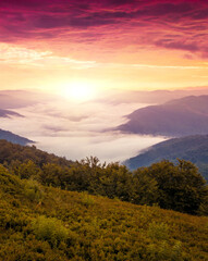 scenic Carpathian summer view,  amazing morning foggy scenery,, Ukraine, Europe