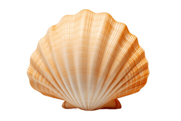 Seashell isolated on a transparent background. Generative Ai