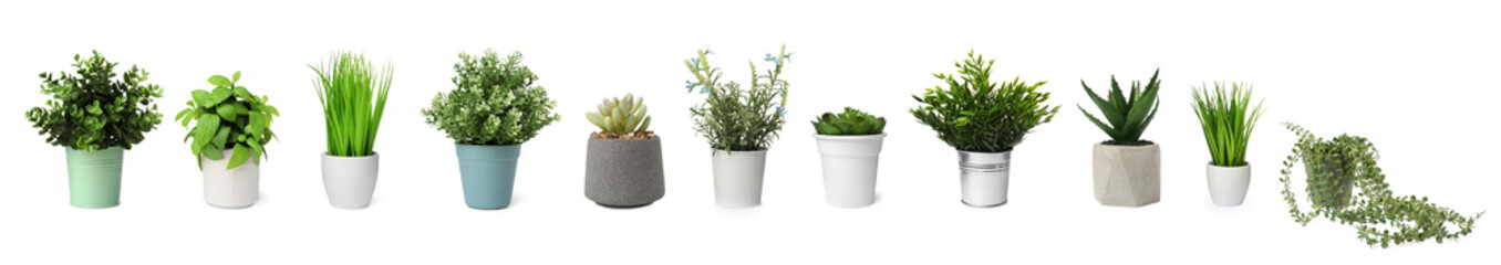 Fototapeta premium Set of artificial plants in flower pots isolated on white