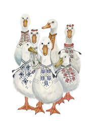 Ukrainian patriotic geese in vyshyvanka 
