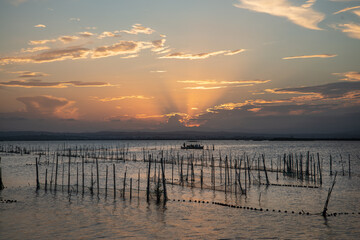 albufera, valencia, el palmar