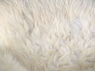 white wool fabric texture background
