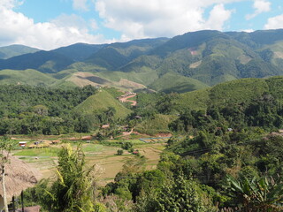 travel view green nature use for life happy