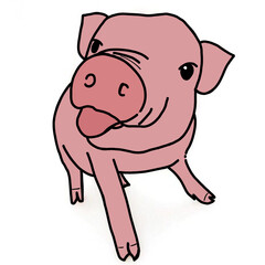 cartoon pig cartoon