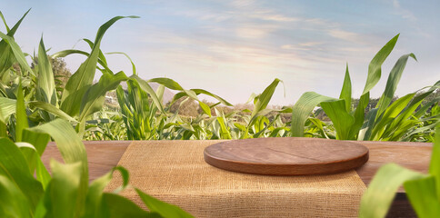 Obraz premium corn field and wooden table at Agriculture corn. 3D illustration, of free space for your texts and branding.