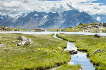 Ein idyllischer Bergsee inmitten der Alpen eingebettet in ein Meer aus Wollgras