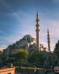 Fototapeta na wymiar A mosque in Istanbul, Suleymaniye mosque