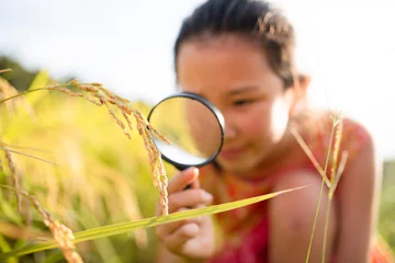 Foto op Aluminium 稲を虫眼鏡で観察する子供 © hakase420