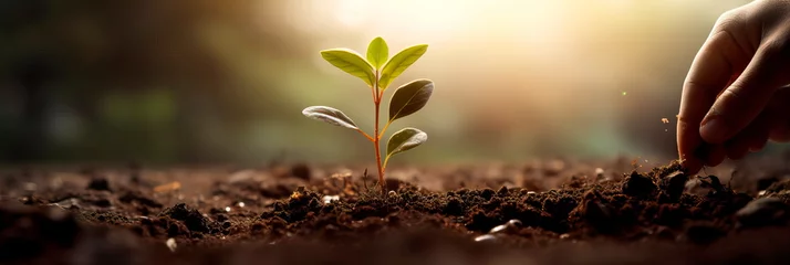 Fotobehang entrepreneur planting a seedling, symbolizing the growth of a startup. Generative AI © Лилия Захарчук