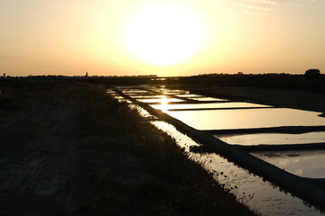 Obraz premium The Salt Marshes during dusk, Guerande, France. August 2023.