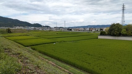 Countryside scenery, around the birthplace of sumo, Nara, Japan