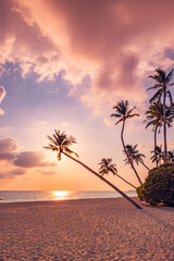 Amazing nature landscape, sunset seascape coconut palm trees. Panoramic travel destination scenic....