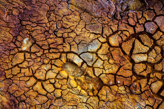 Brown dry land with cracks