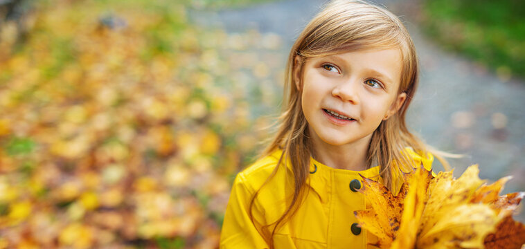  Little girl with autumn leaves as a bouquet in the yellow autumn park.