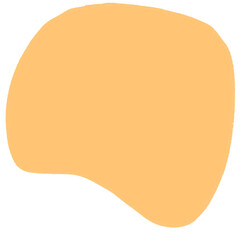 illustration of a orange