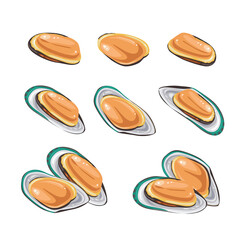 Fresh Delicious Seafood, musselson on white background. Vector illustration.