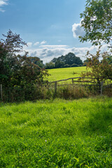 View across English farmland on sunny summers day - 642396626