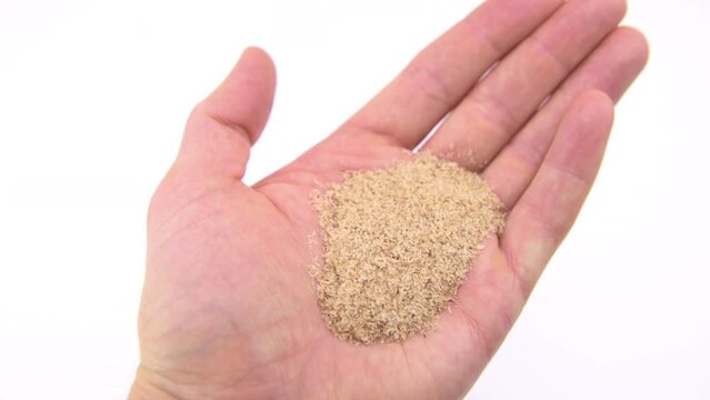 Psyllium husks husks supplement for bowel movement constipation on hand palm macro closeup holding on white background