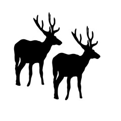 silhouette of deer with antlers. vector Illustration,