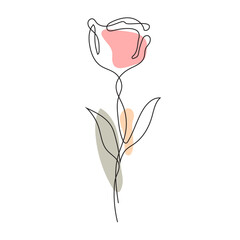 Vector rose flower line art. contour drawing. minimalism art