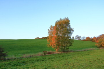 Autumn Landscape near Dippoldiswalde in Saxony, Germany