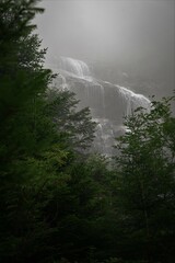 Cascade d'ars derrière les conifères sous la brume, Pyrénées, France