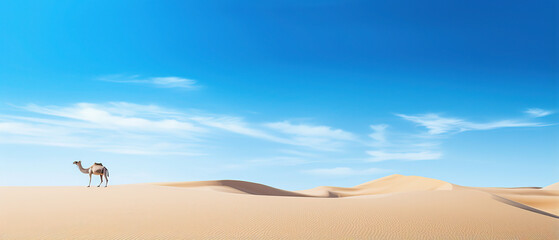 Fototapeta na wymiar sandy desert on contrast with blue sky, and camel