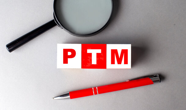 PTM word on wooden cubes with pen and magnifier