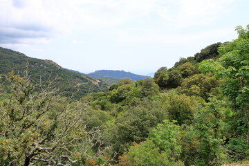 Fototapeta na wymiar Mountain landscape In the south of Corsica on the way to Porto-Vecchio, France