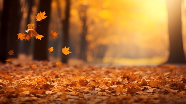 The lonely pathway among golden maple trees in autumn