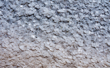 Crystallized salt on a muddy bottom in the upper Kuyalnitsky estuary. Kuyalnik Estuary, Ukraine