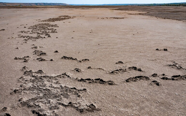 Dry cracked salty silt in the upper Kuyalnik estuary, Ukraine