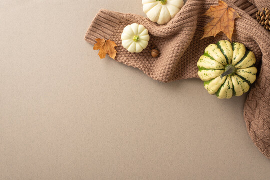 Capture the essence of fall with a top-view image showcasing a warm brown knitted sweater, raw pattypans, acorn, maple leaves, and more, set against a soft greyish beige background