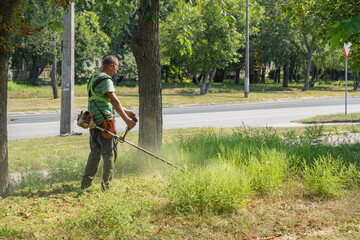 Man gardener mowing ragweed bushes, ambrosia artemisiifolia that causing allergy summer and autumnwith electric or petrol lawn trimmer along the city street. Gardening care tools and equipment. - obrazy, fototapety, plakaty