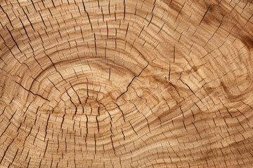 Fototapeta premium Intricate Patterns and Vibrant Colors: A Close-Up Macro View of Mulberry's Textured Beauty