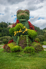 Plant sprout,Muszyna, kląb, ozdobny, Miś © Maciej G. Szling