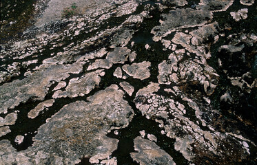 Geyser, Parc National du Yellowstone, U.S.A