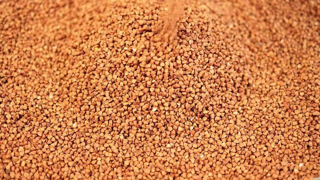 Background with buckwheat. Urzhay. Healthy diet food.