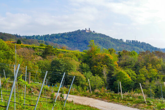 Herbst im Odenwald