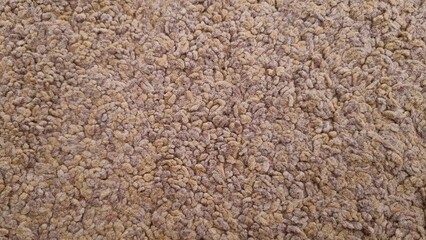 Seamless close up of monochrome brown carpet texture background from above. Brown rug texture. Wall-to-wall carpet loop fabric speckled brown pattern full frame.