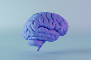 3D render of a blue male human brain on blue background. Concept for male and boy intuition and intelligence in medical and neurological science.