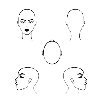 Diagram of woman head for hairstylist. Manual for beauty salon, lesson, masterclass, barbershop. Woman's face in front, profile, from above. Vector realistic line sketch illustration