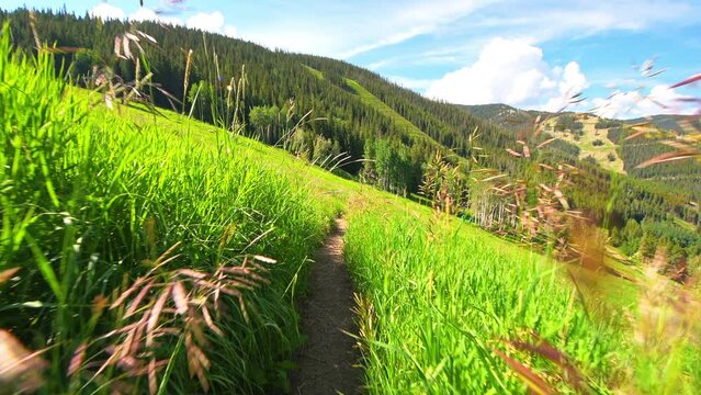 Trail walking on Royal Elk footpath to Beaver Creek Lake, Colorado pov point of view handheld shot in summer with aspen spruce tree forest meadow