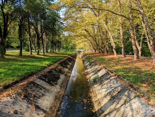 Canal in the autumn park