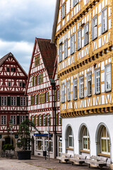 Obraz premium Leonberg
