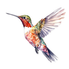 hummingbird, made of watercolor, gouache ink, white background, isolated, generative ai