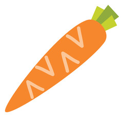 Carrot and Carrot on a Stick Illustration
