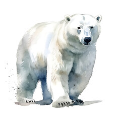 polar bear, made of watercolor, gouache paint, white background, isolated, generative ai