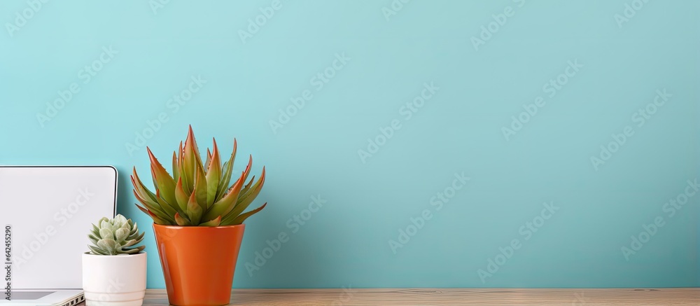 Aufkleber cactus and bamboo reside on a desk near a computer at home