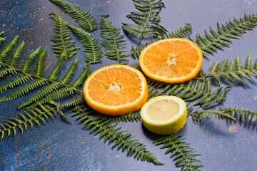 Rodajas de naranja y limón sobre hojas de helecho